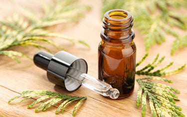 10 Benefits and Uses of Cypress Oil